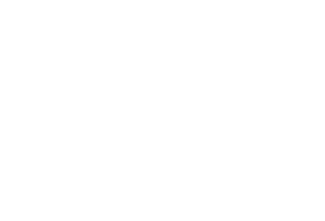 MDN GRAPHIC